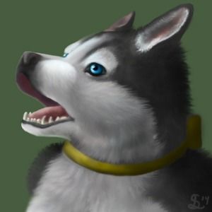 Meet your Posher, Desiree